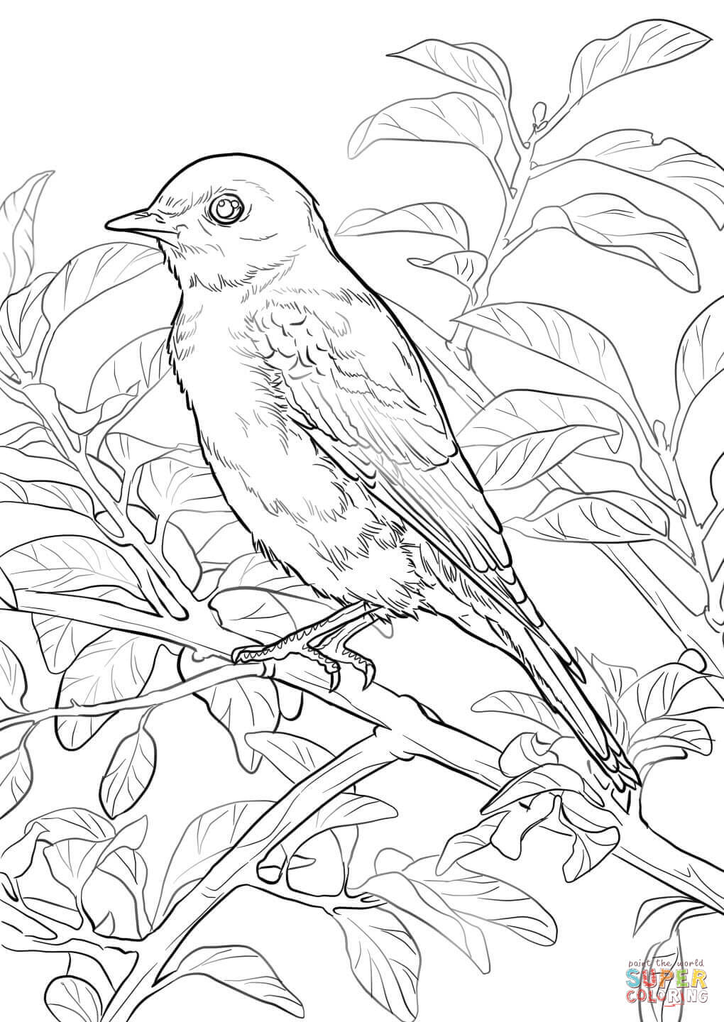 Bird Coloring Pages for Kids Printables 74