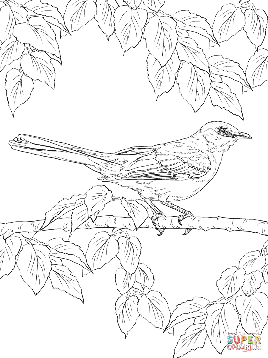 Bird Coloring Pages for Kids Printables 75