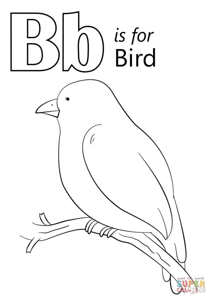 Bird Coloring Pages for Kids Printables 79