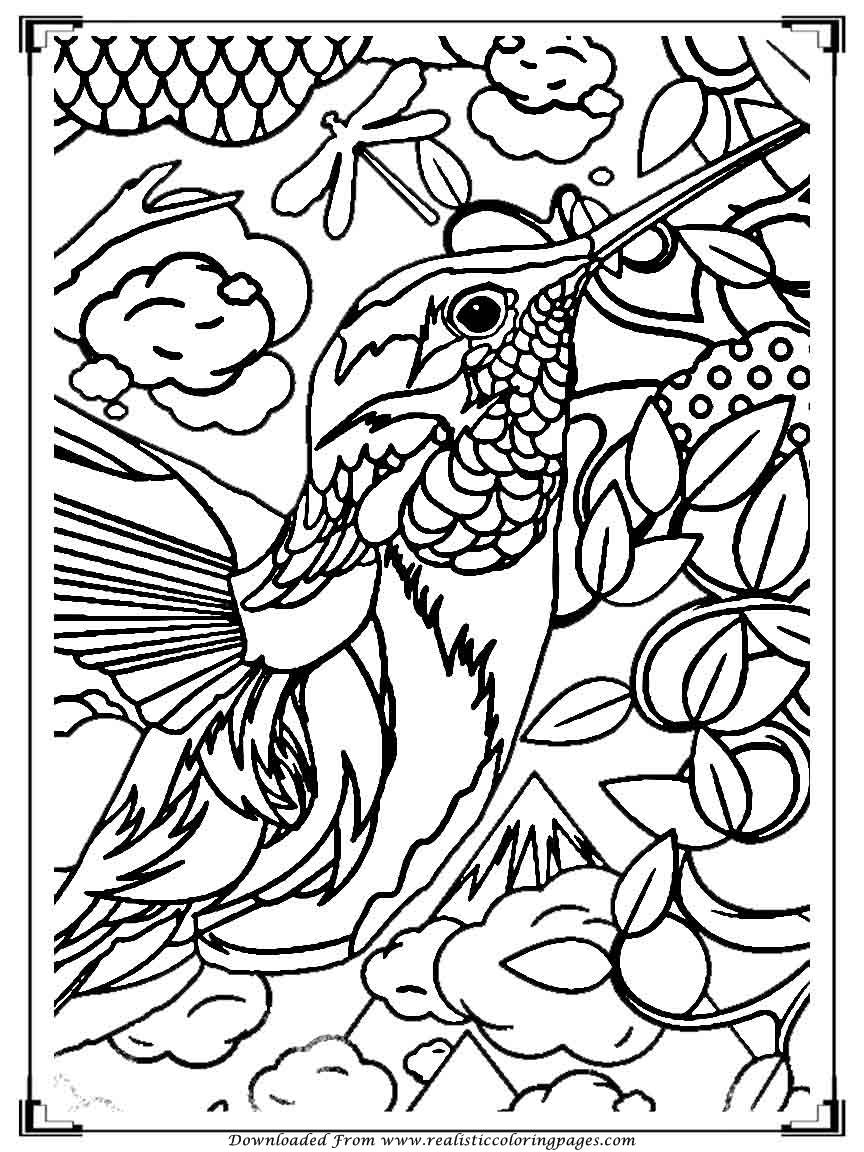 Bird Coloring Pages for Kids Printables 8