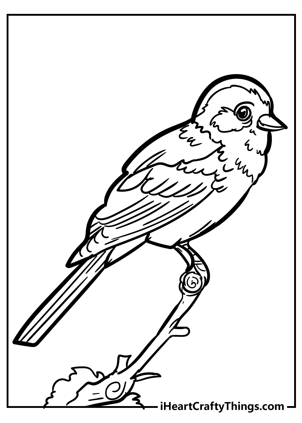 Bird Coloring Pages for Kids Printables 88