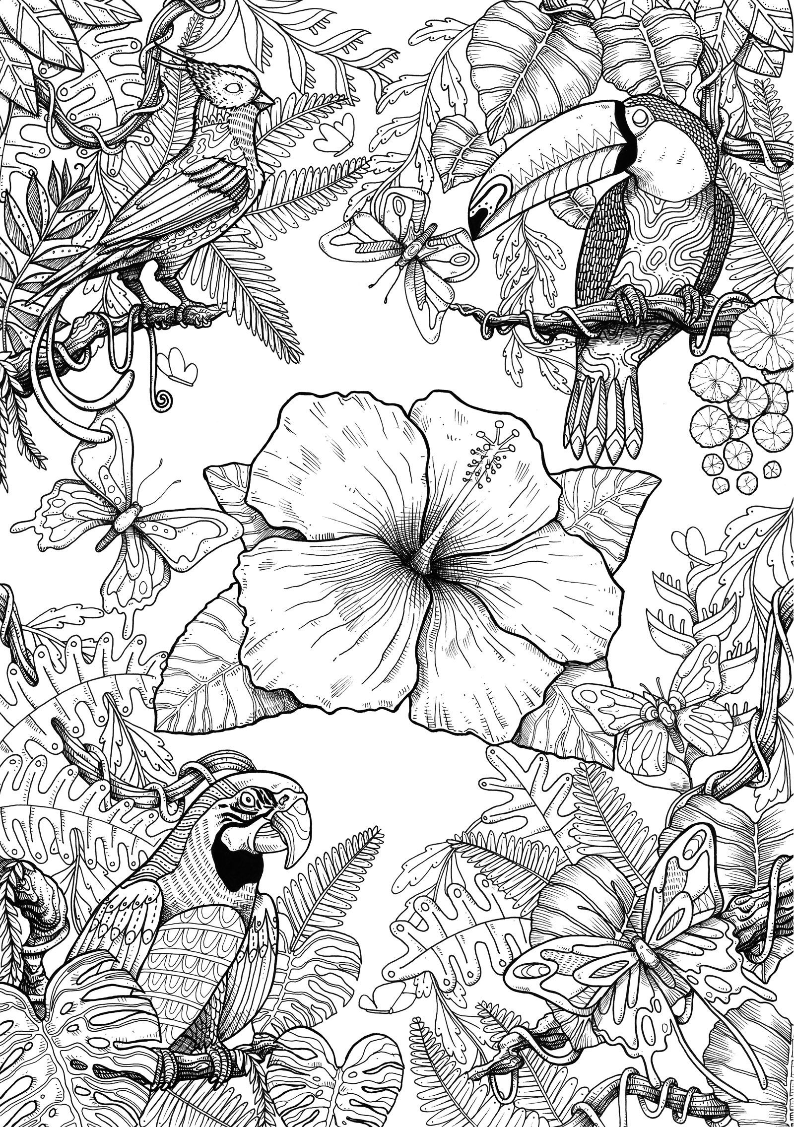 Bird Coloring Pages for Kids Printables 92