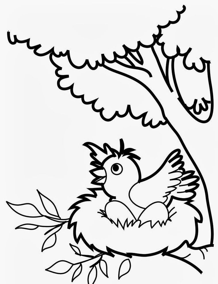 Bird Coloring Pages for Kids Printables 93