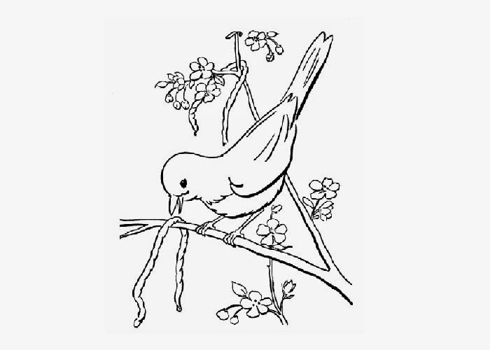 Bird Coloring Pages for Kids Printables 96