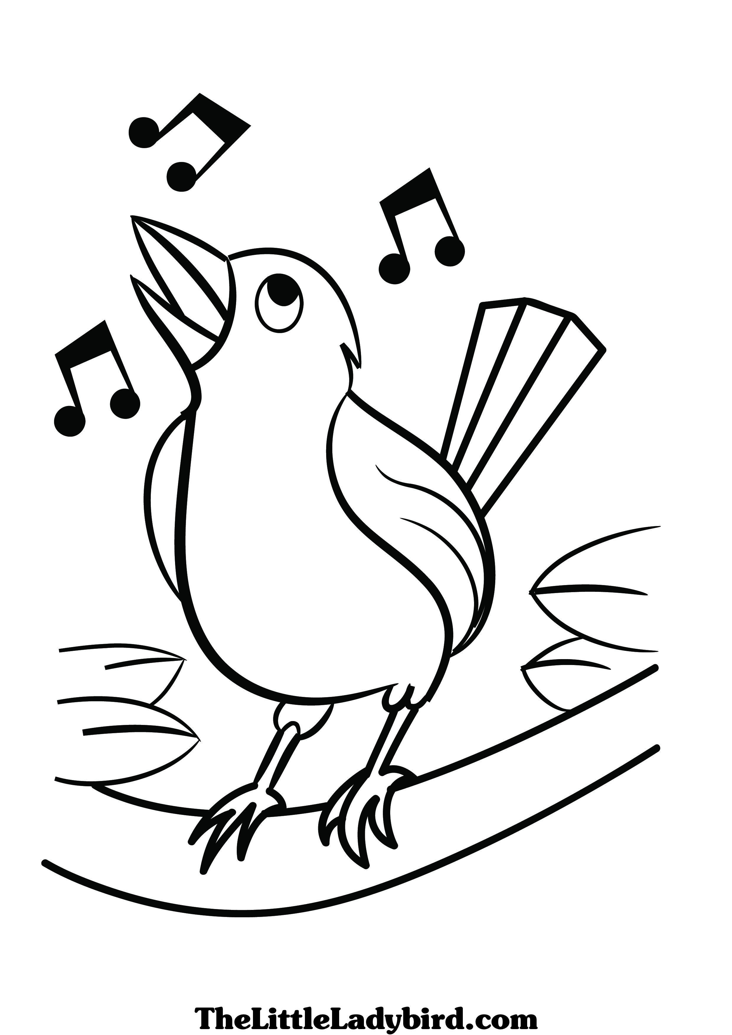 Bird Coloring Pages for Kids Printables 97