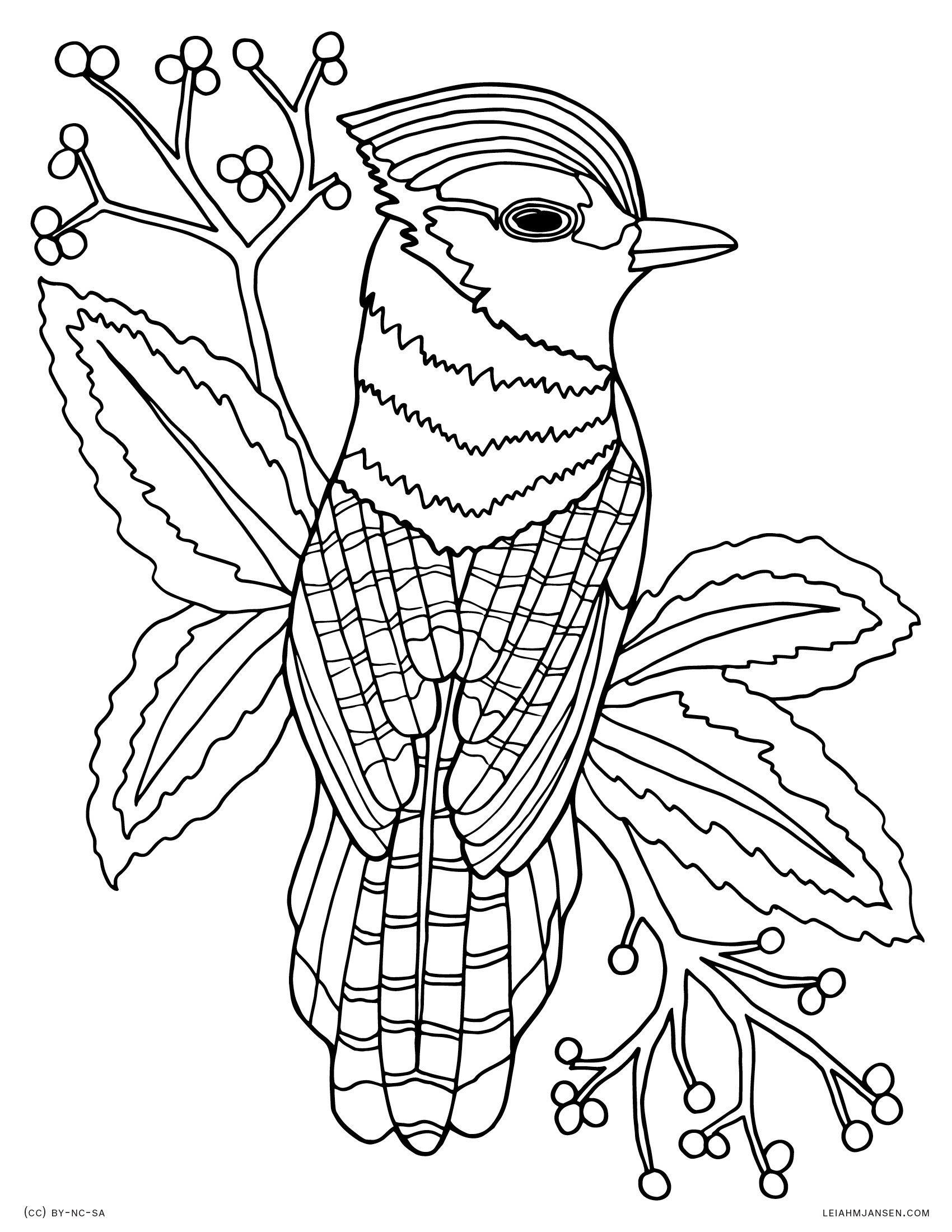 Bird Coloring Pages for Kids Printables 98