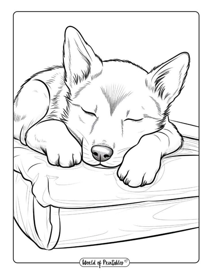 boba dog coloring pages