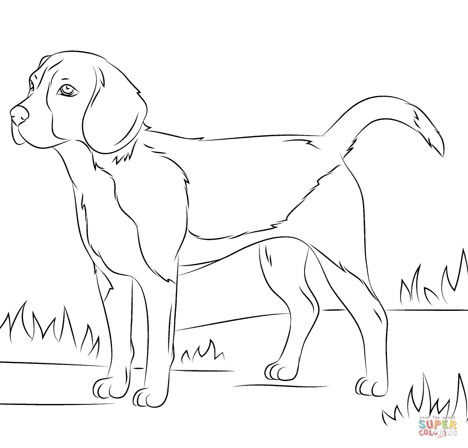 Cute Doggy Coloring Pages 105