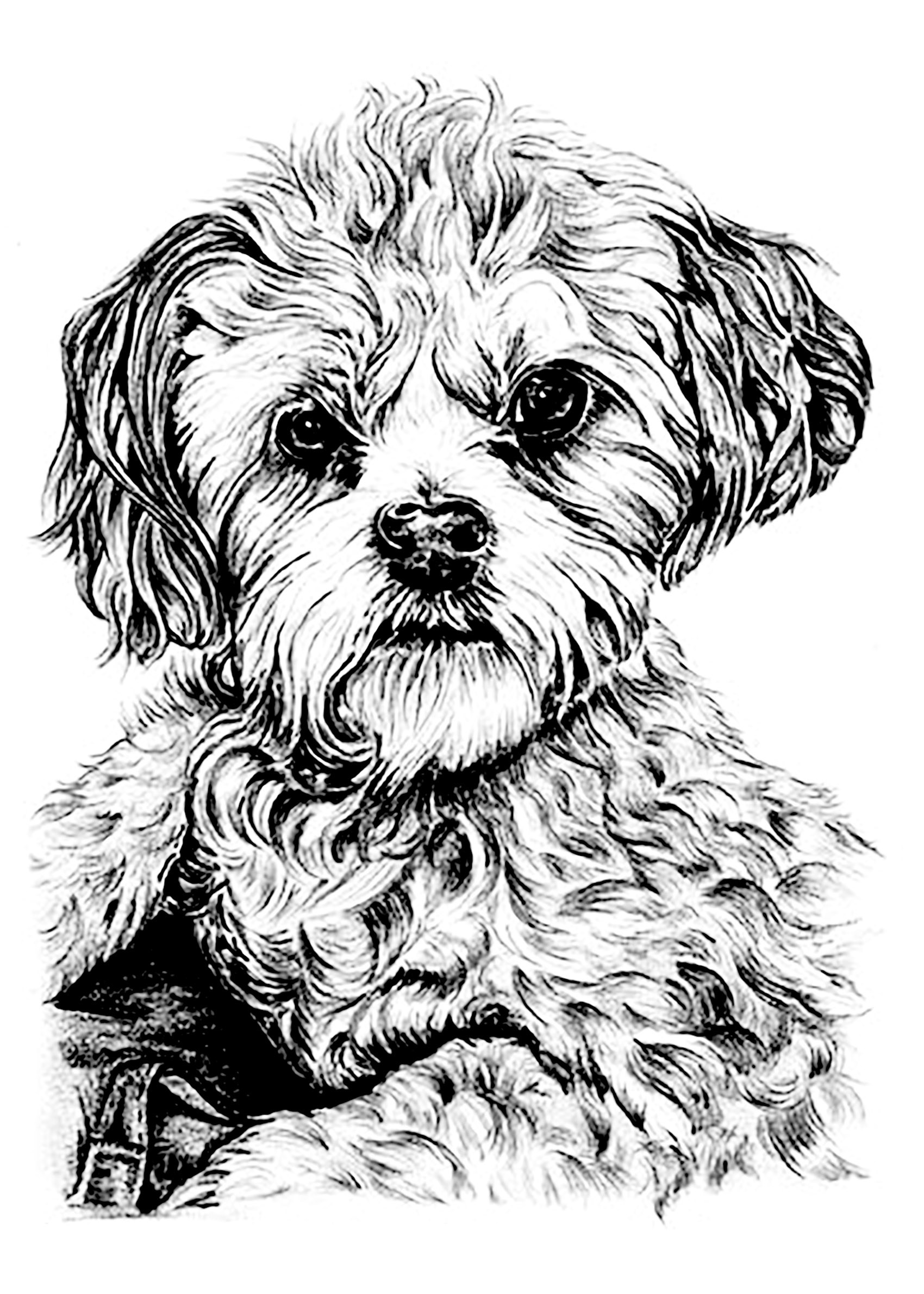 Cute Doggy Coloring Pages 130