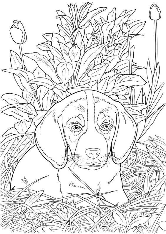 Cute Doggy Coloring Pages 136