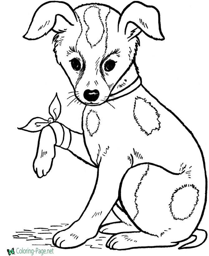 Cute Doggy Coloring Pages 139