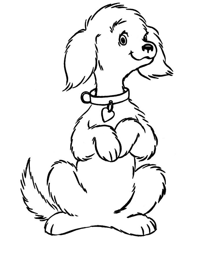 Cute Doggy Coloring Pages 62