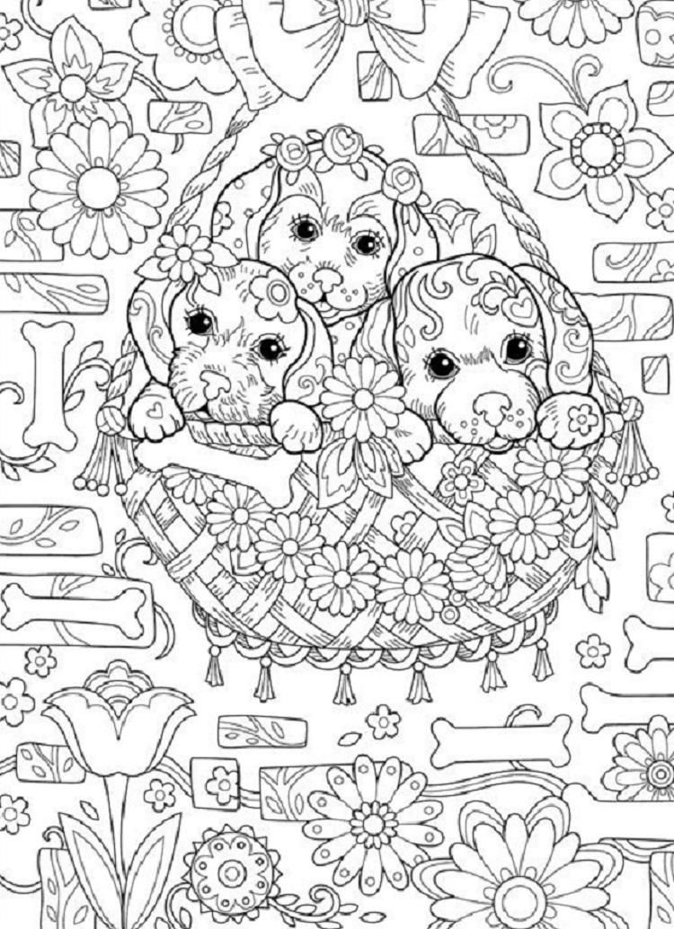 Cute Doggy Coloring Pages 87