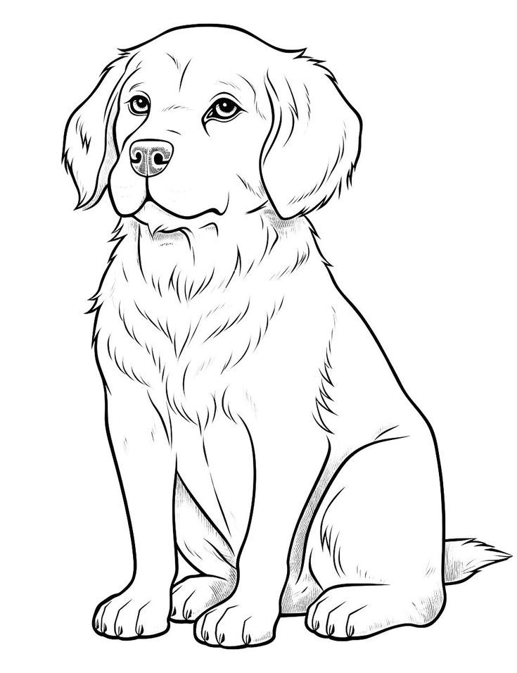 dalmatian fire dog coloring pages