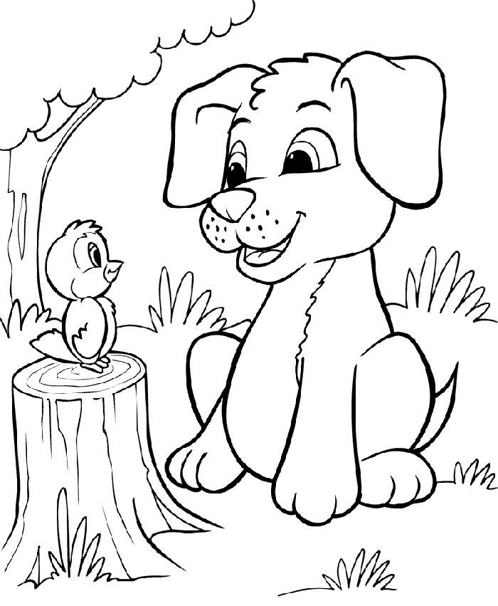 dog coloring pages boston terrier