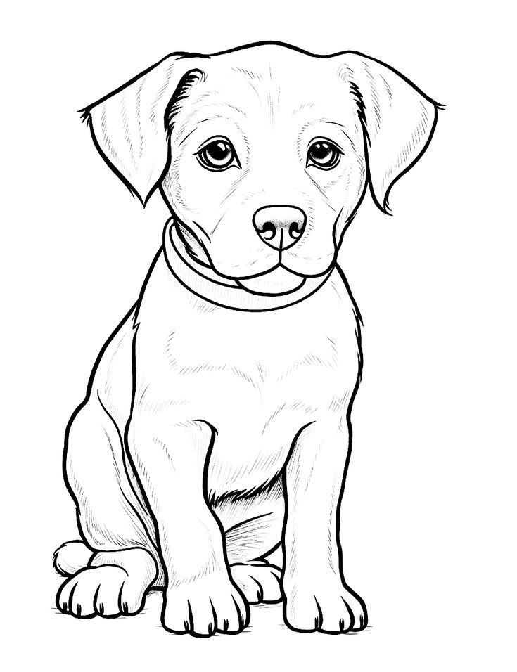 dog coloring pages corgi