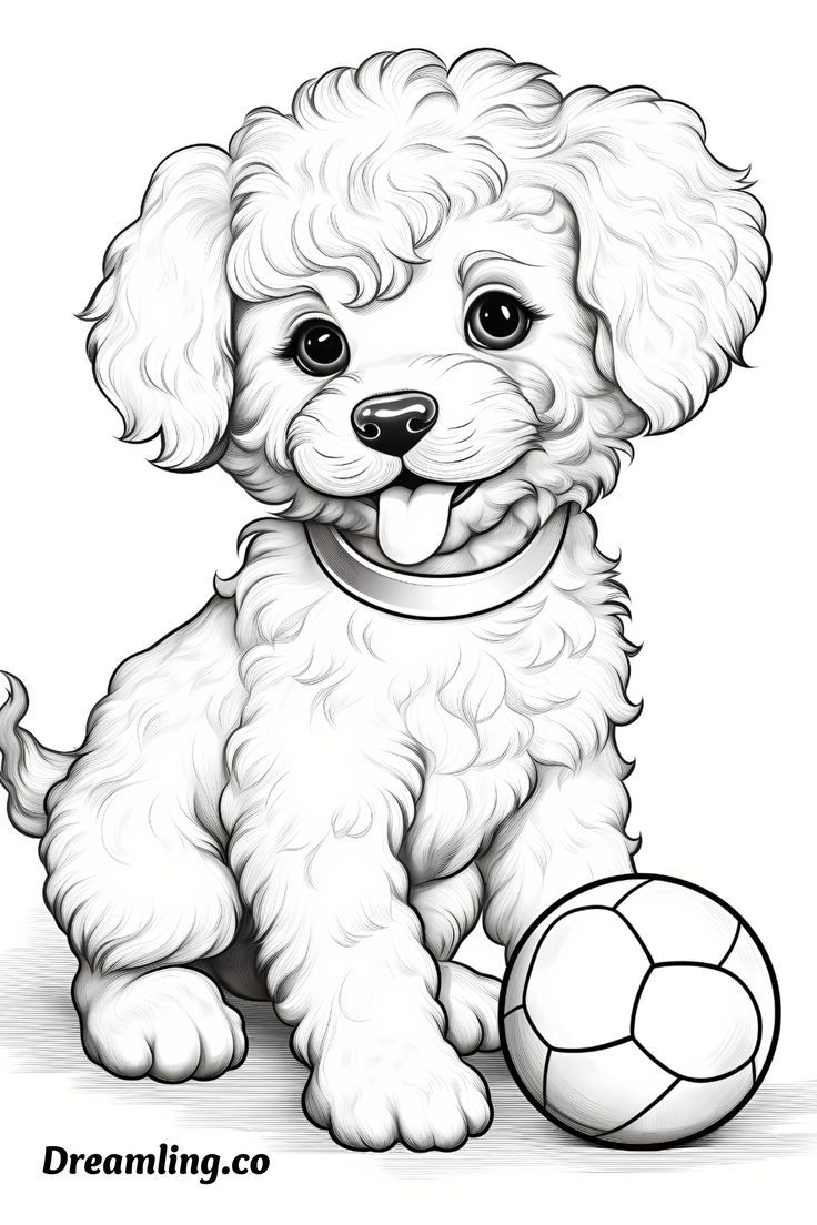 dog coloring pages cute