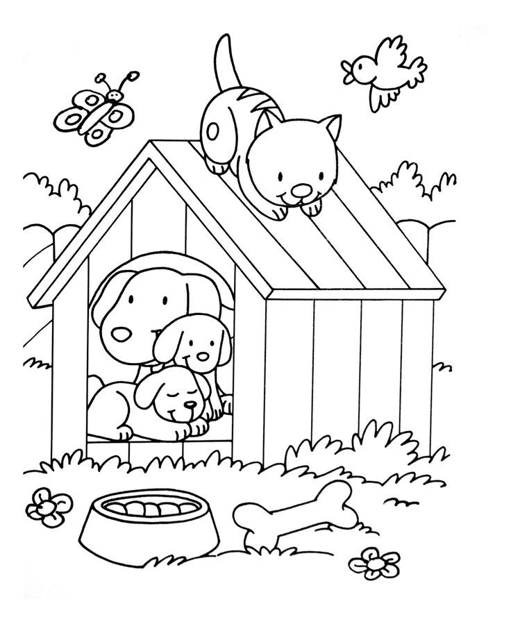 dog coloring pages pit bull