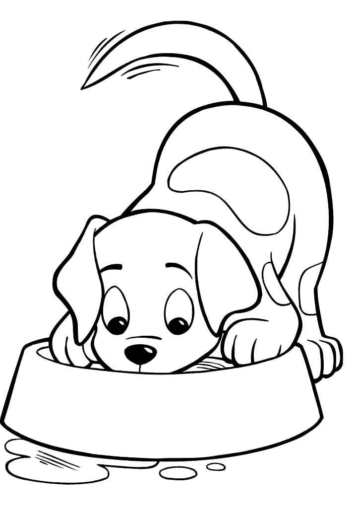 dog grooming coloring pages