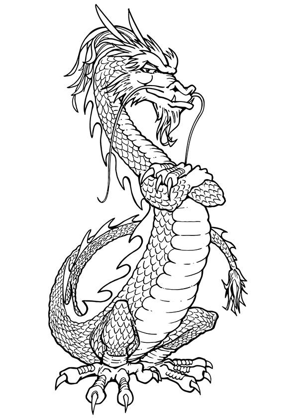 dragon cat coloring pages