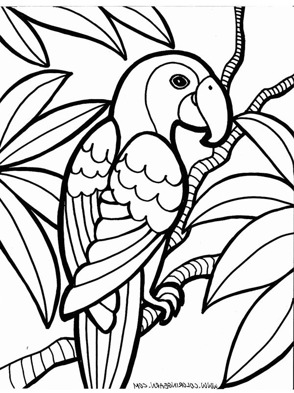 dragon cute coloring pages