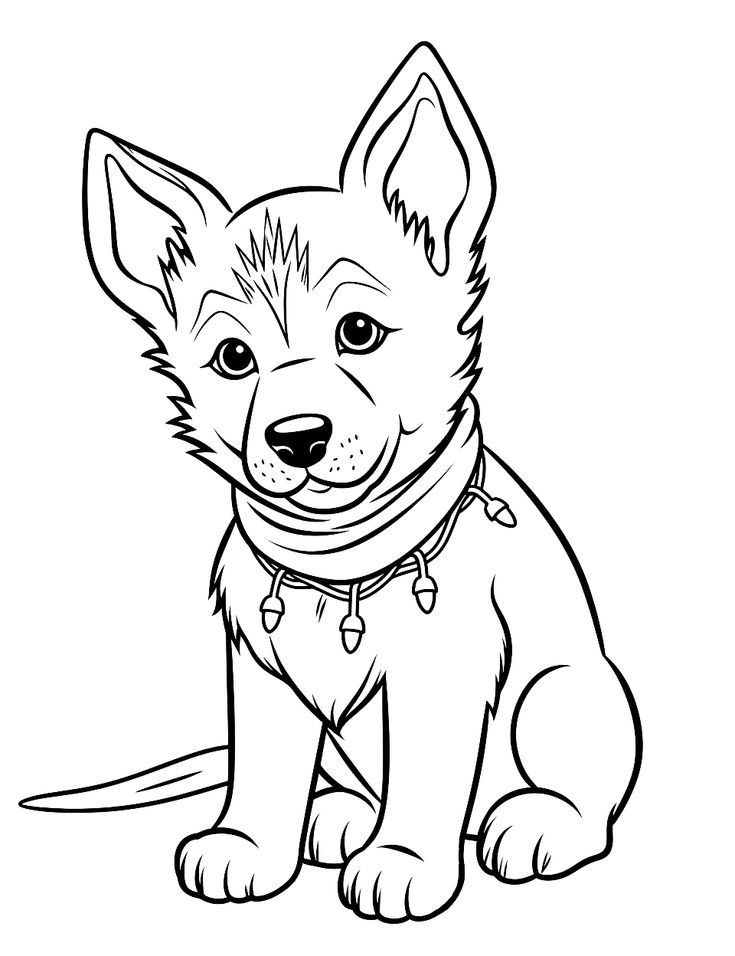 english bull dog coloring pages