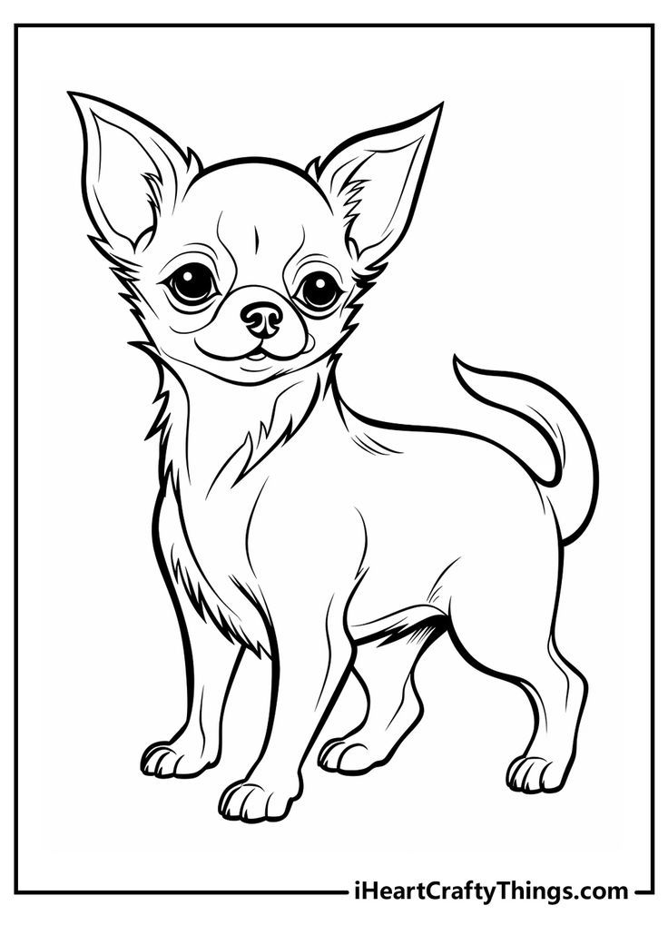 girl with dog coloring pages printable