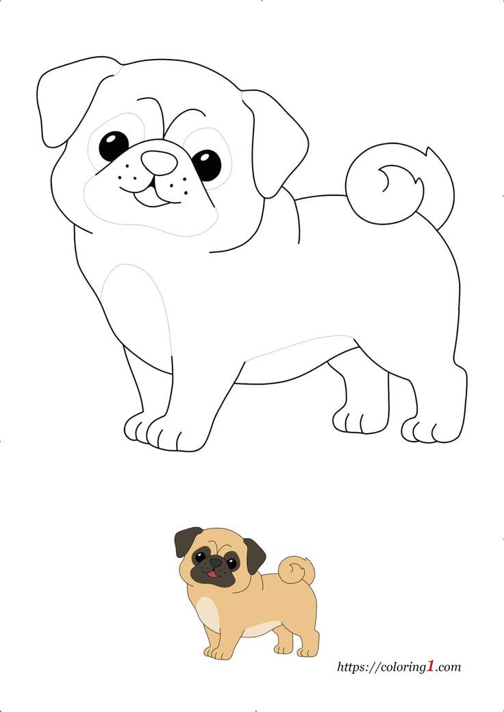 happy dog coloring pages