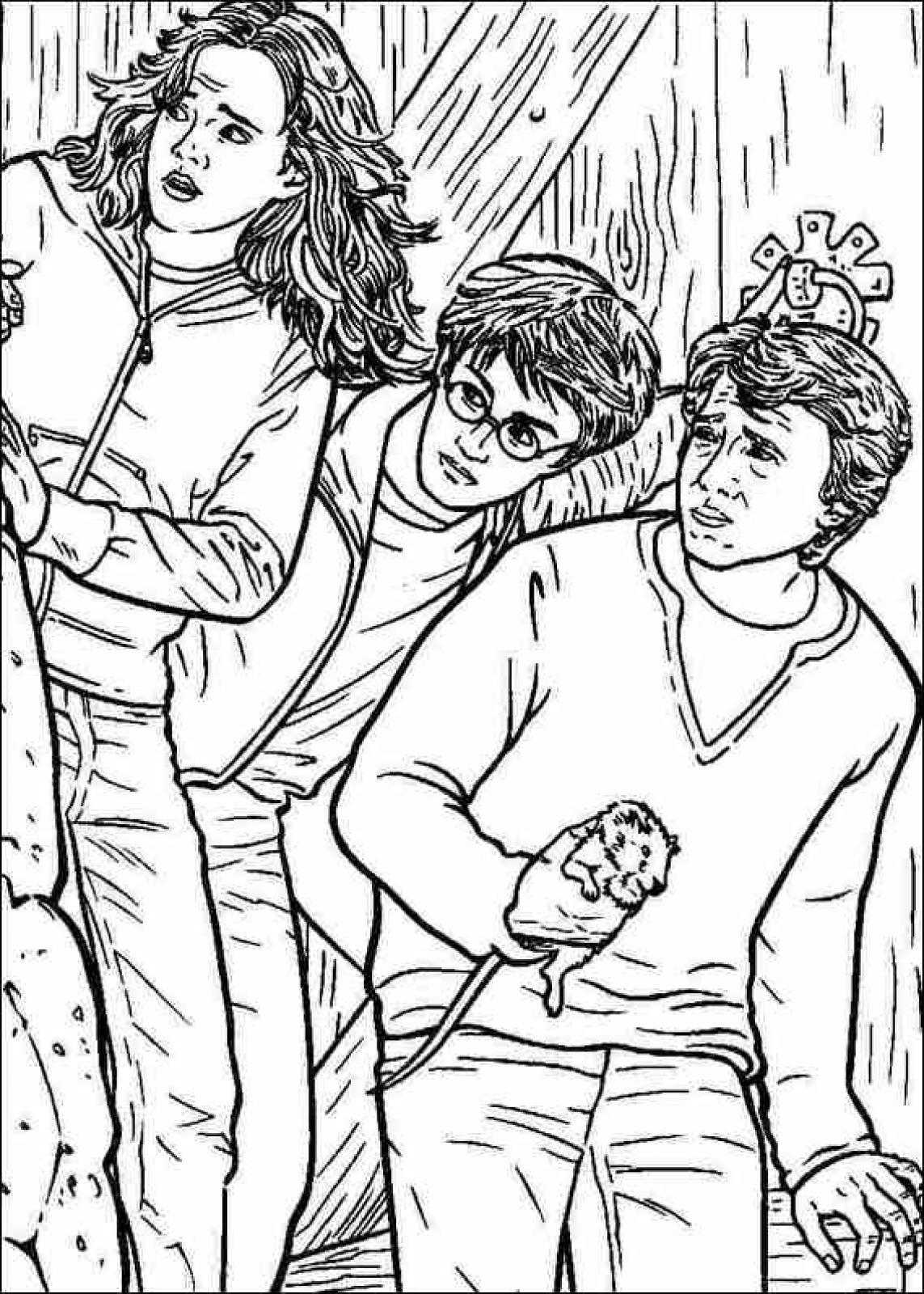 Harry Potter Coloring Pages for Adults 105