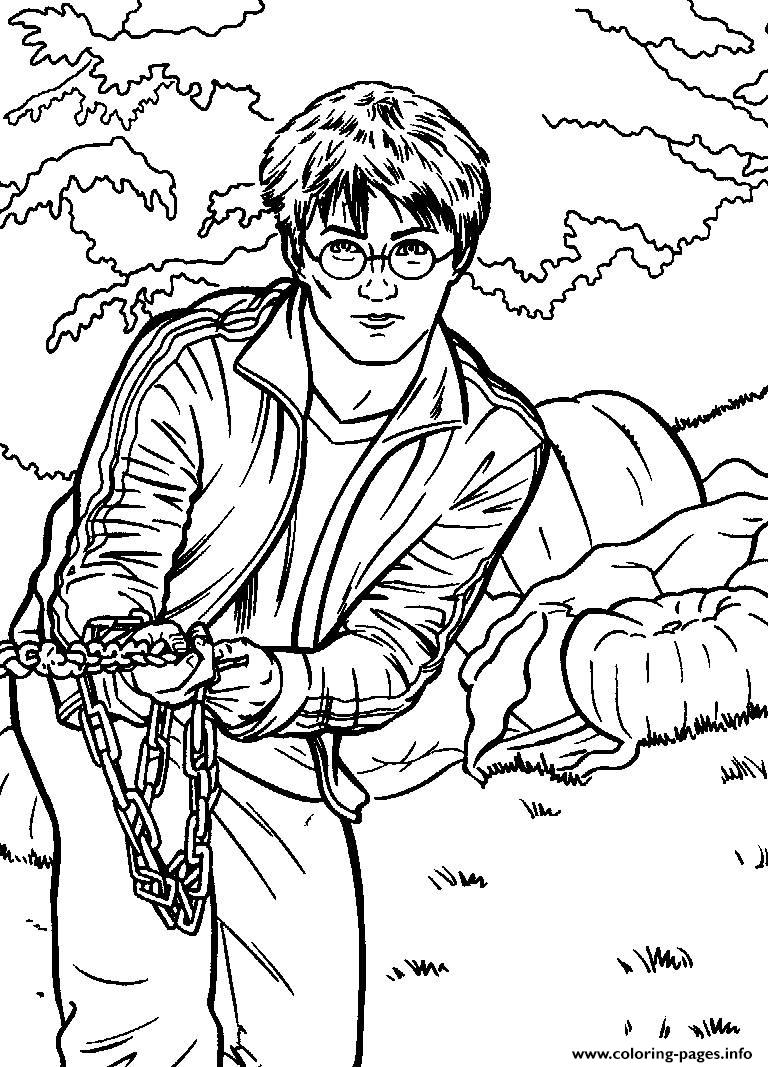 Harry Potter Coloring Pages for Adults 108