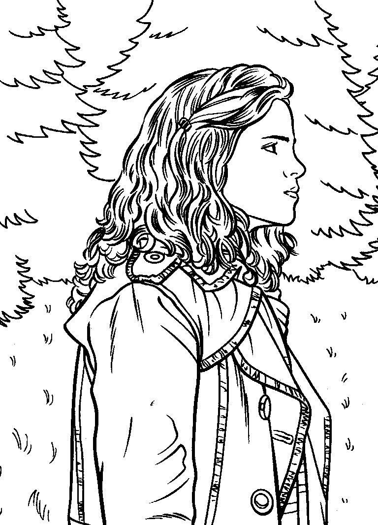 Harry Potter Coloring Pages for Adults 109