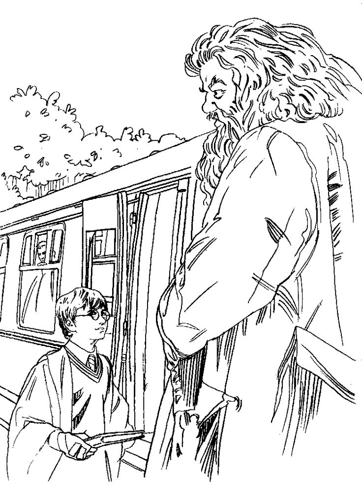 Harry Potter Coloring Pages for Adults 21