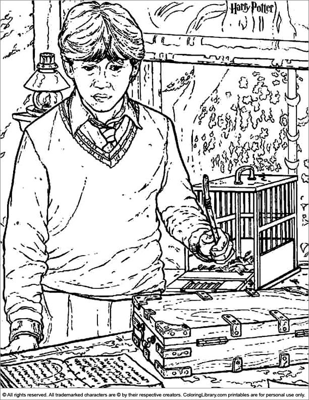 Harry Potter Coloring Pages for Adults 7