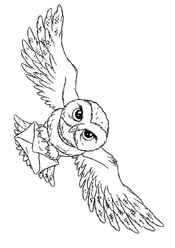 Harry Potter Coloring Pages for Adults 78