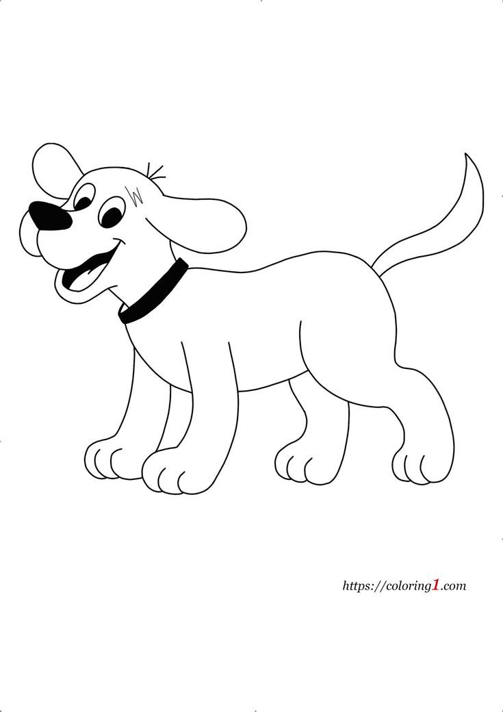 hunting dog coloring pages