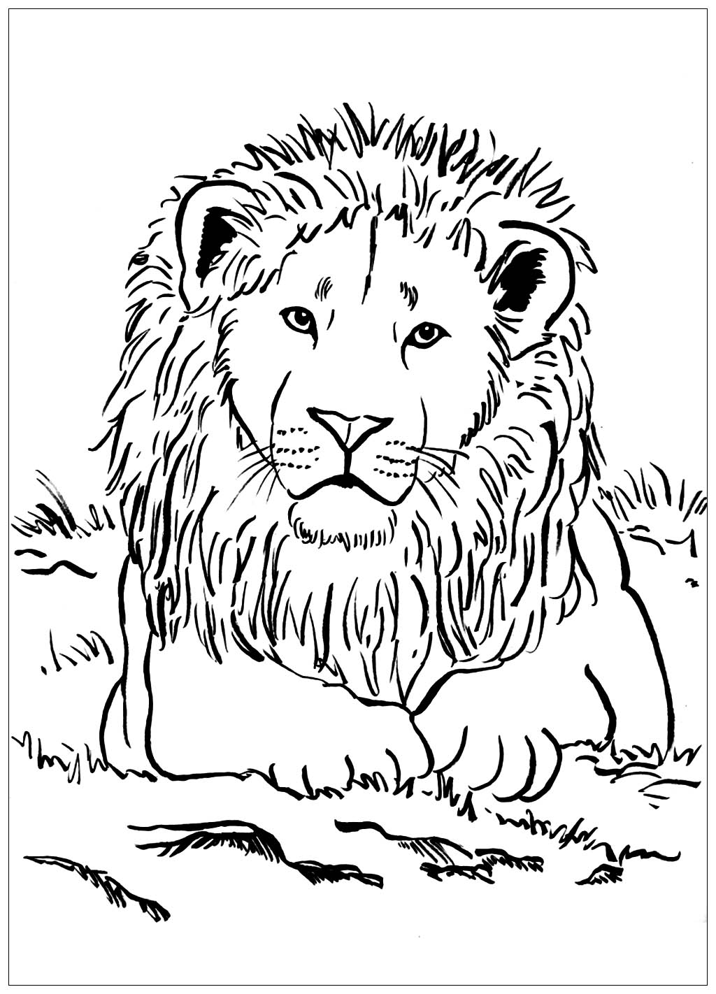 Lion King Coloring Pages Free Printable 1