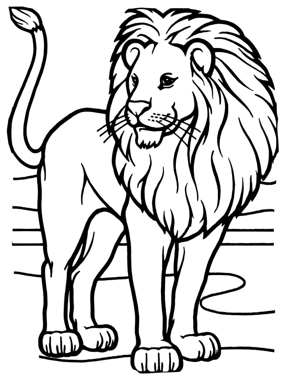 Lion King Coloring Pages Free Printable 101