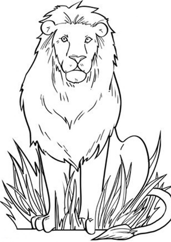 Lion King Coloring Pages Free Printable 16