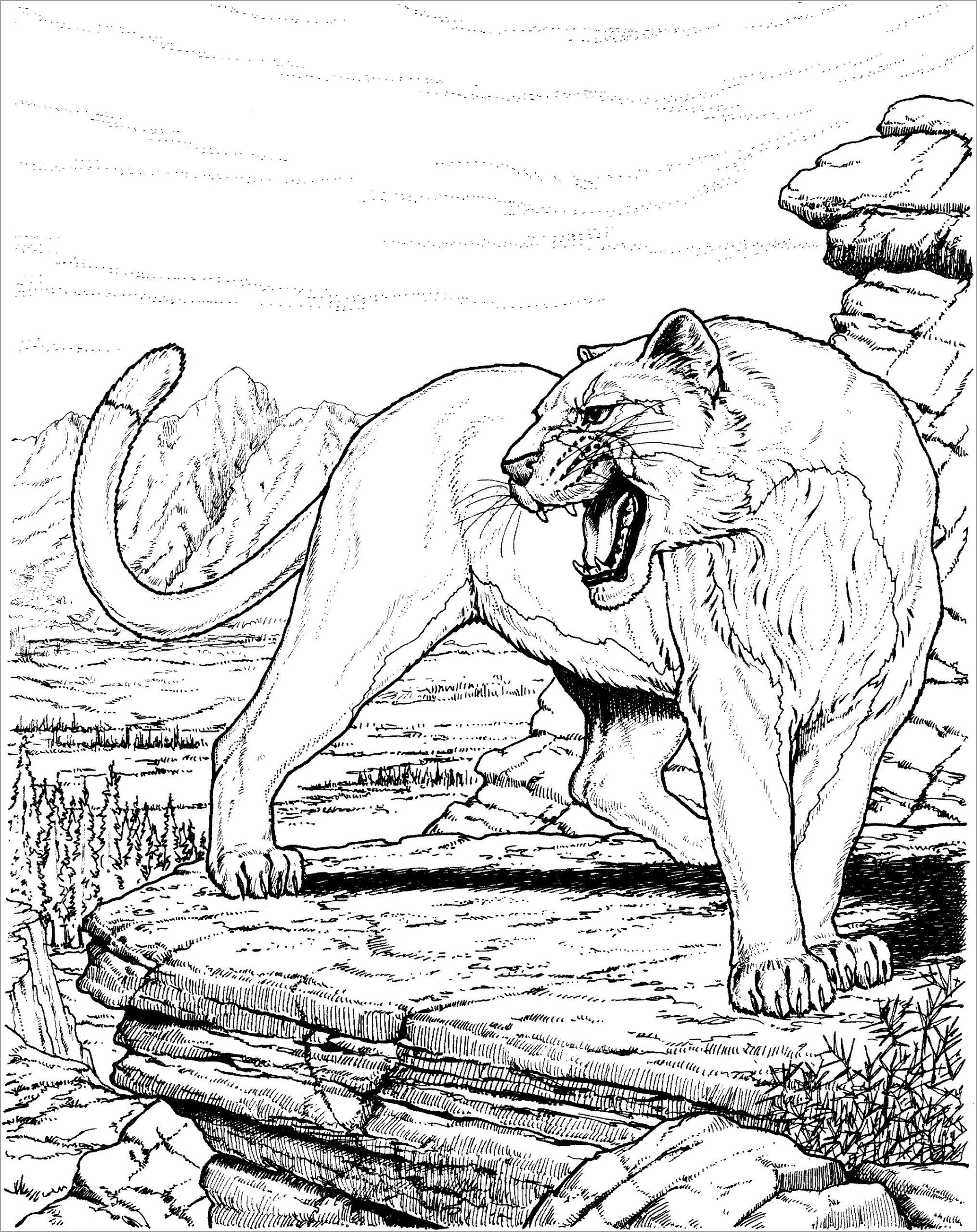 Lion King Coloring Pages Free Printable 28