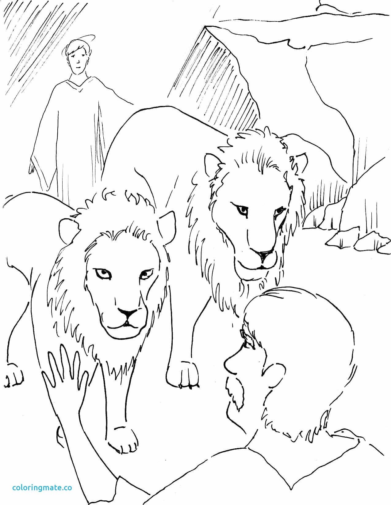 Lion King Coloring Pages Free Printable 30