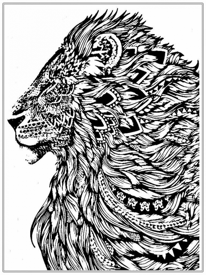 Lion King Coloring Pages Free Printable 33