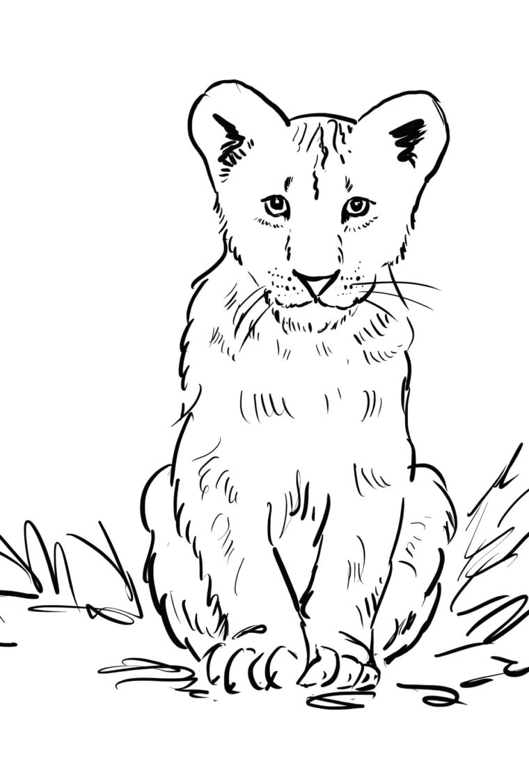 Lion King Coloring Pages Free Printable 34