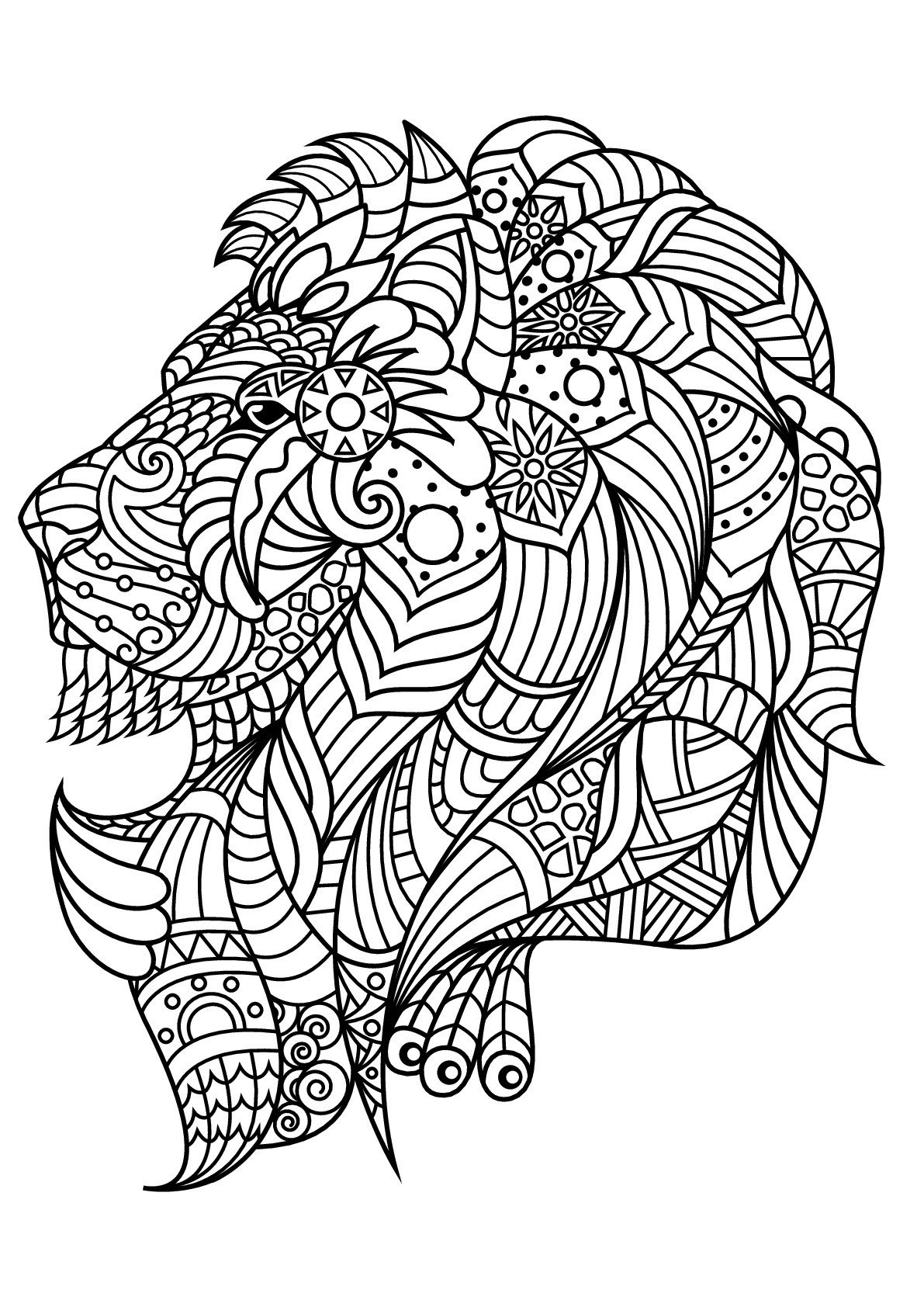 Lion King Coloring Pages Free Printable 44