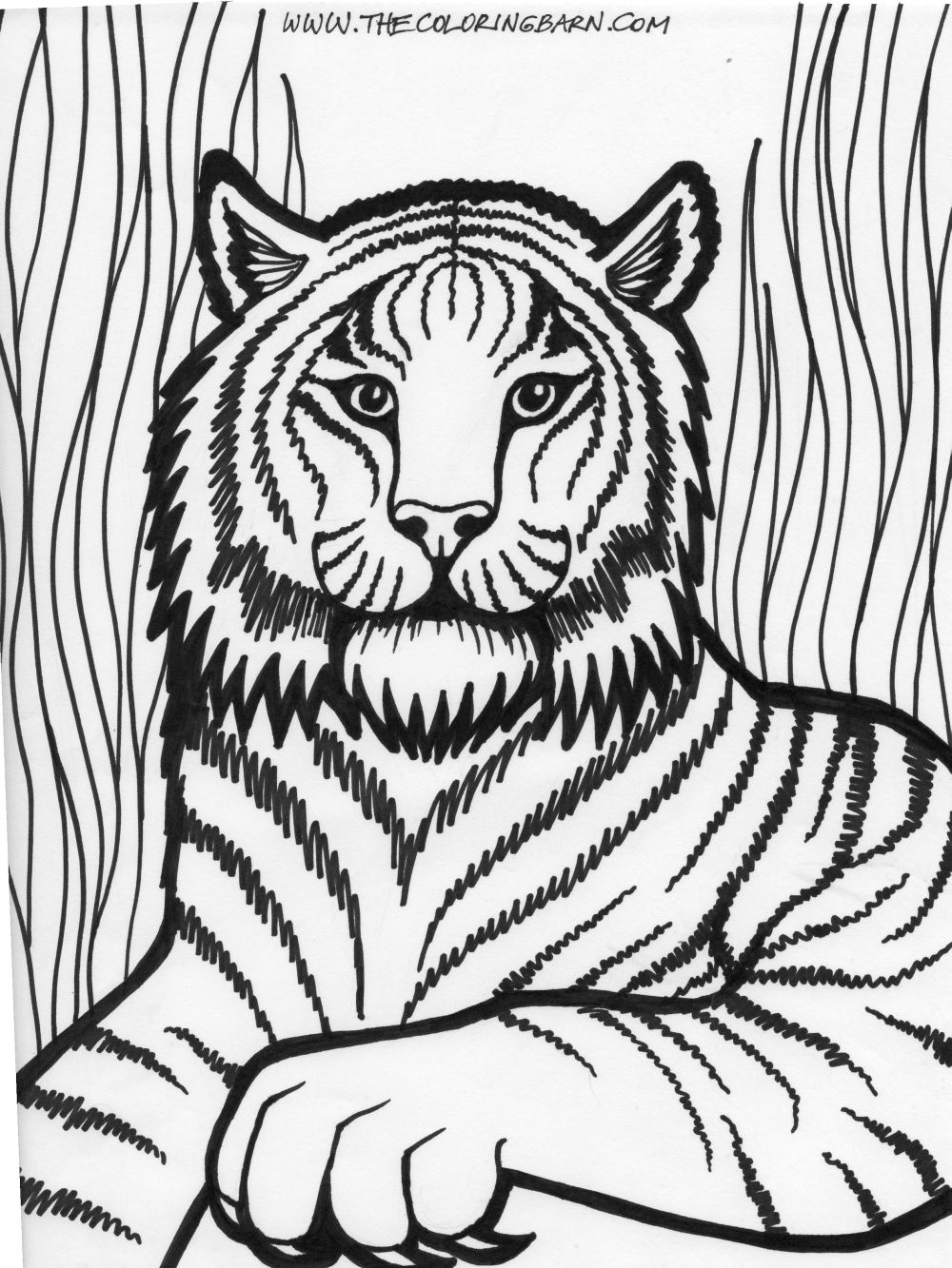 Lion King Coloring Pages Free Printable 48