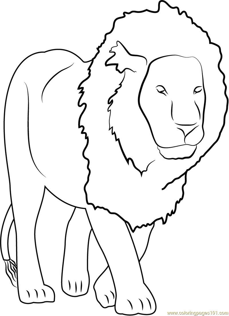 Lion King Coloring Pages Free Printable 53