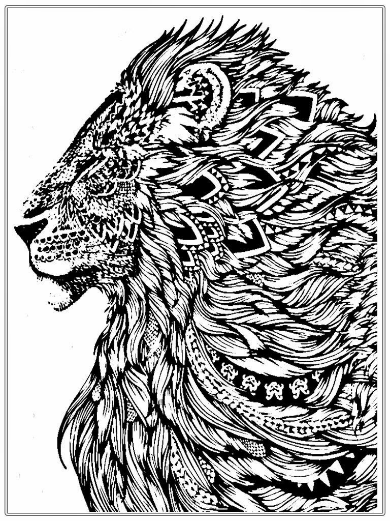 Lion King Coloring Pages Free Printable 6