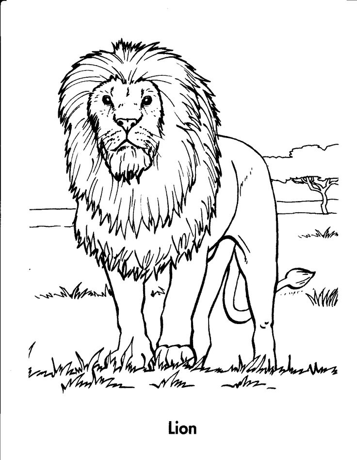 Lion King Coloring Pages Free Printable 67