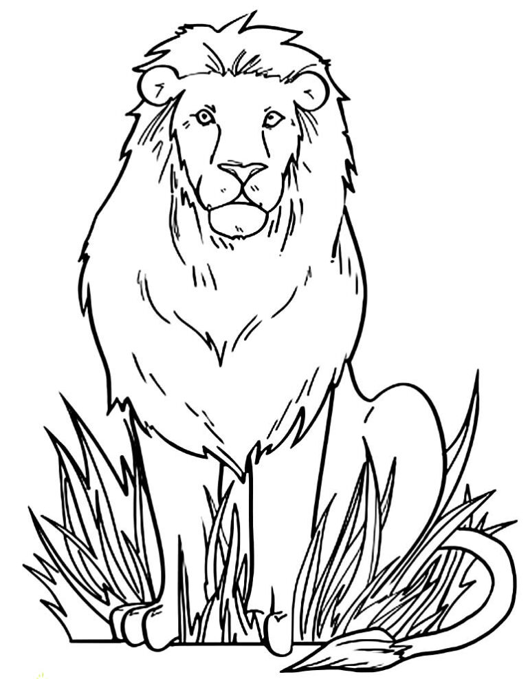 Lion King Coloring Pages Free Printable 78