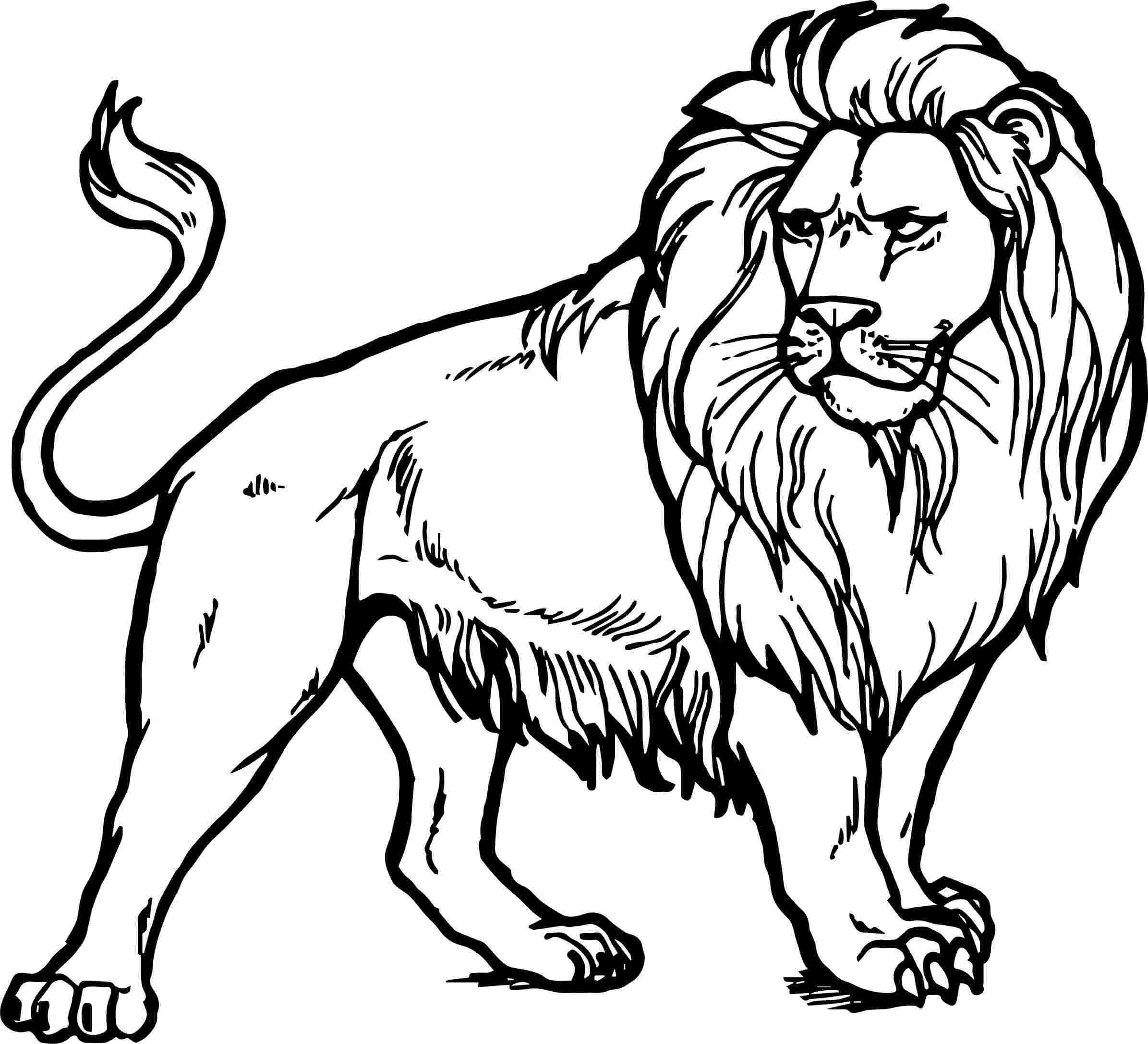 Lion King Coloring Pages Free Printable 98