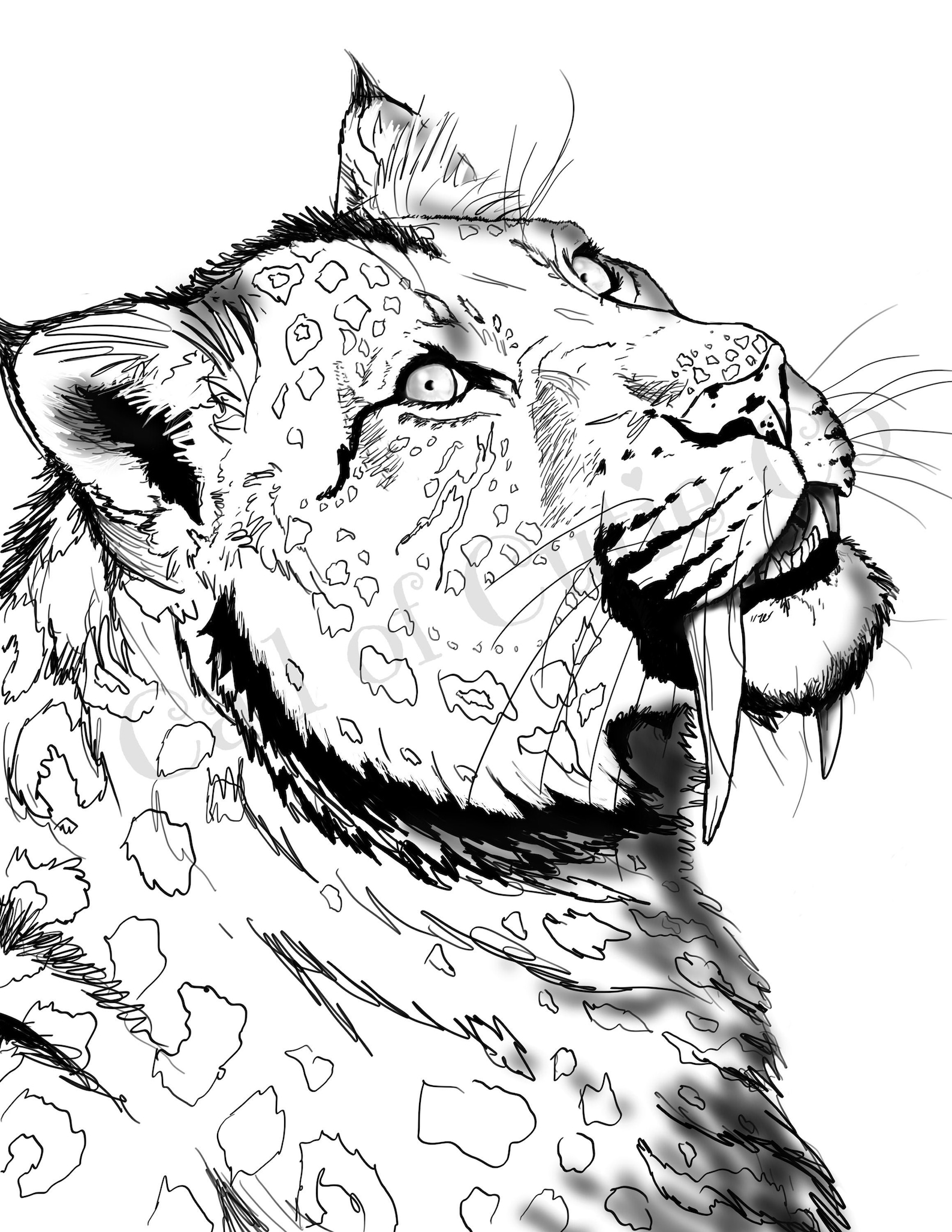 Tiger Coloring Pages for Kids Printable 10